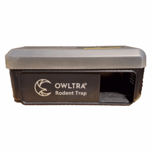 Electronic Rodent Trap