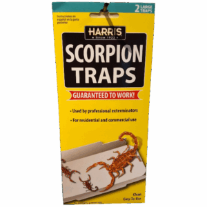 Scorpion Traps