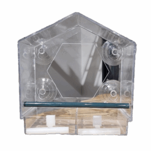 Wild Bird Feeder For Windows