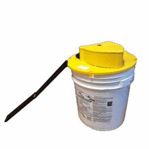 Bucket Rat Trap